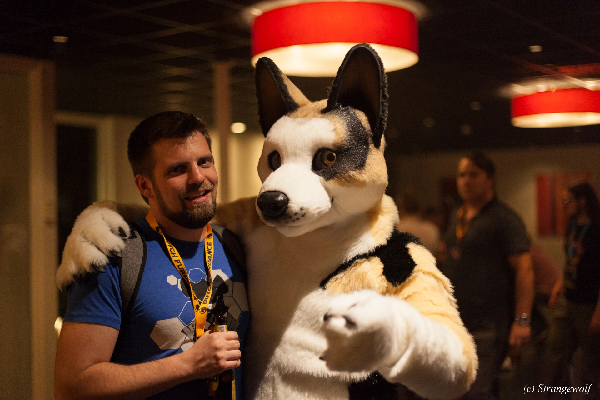 full image IMG_6373-lr19t.jpg