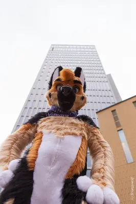 IMG_9052-lr19t.jpg of NFC/NFC2020/