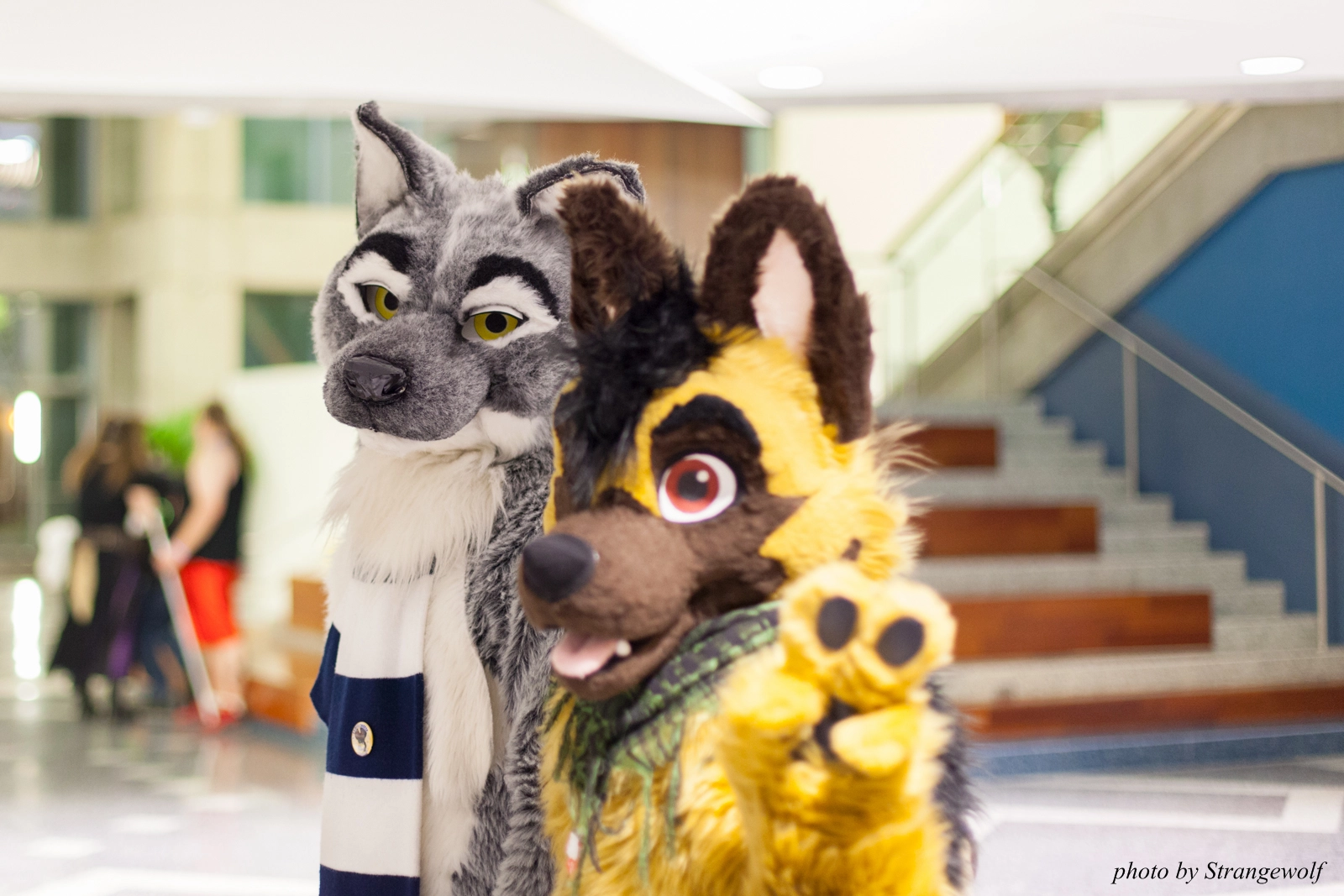 full image IMG_1248-lr16t.jpg