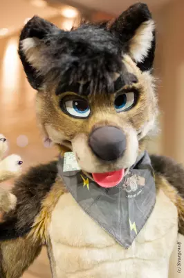 IMG_8114-lr19t.jpg of MFF/MFF2017/