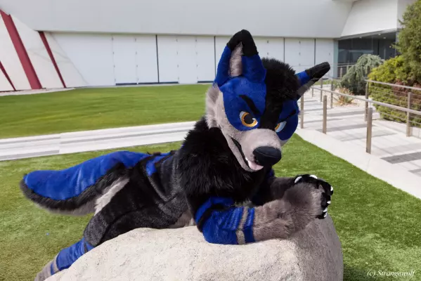 IMG_2800-lr.jpg of BLFC/2019/Fotoshoot-Slate/
