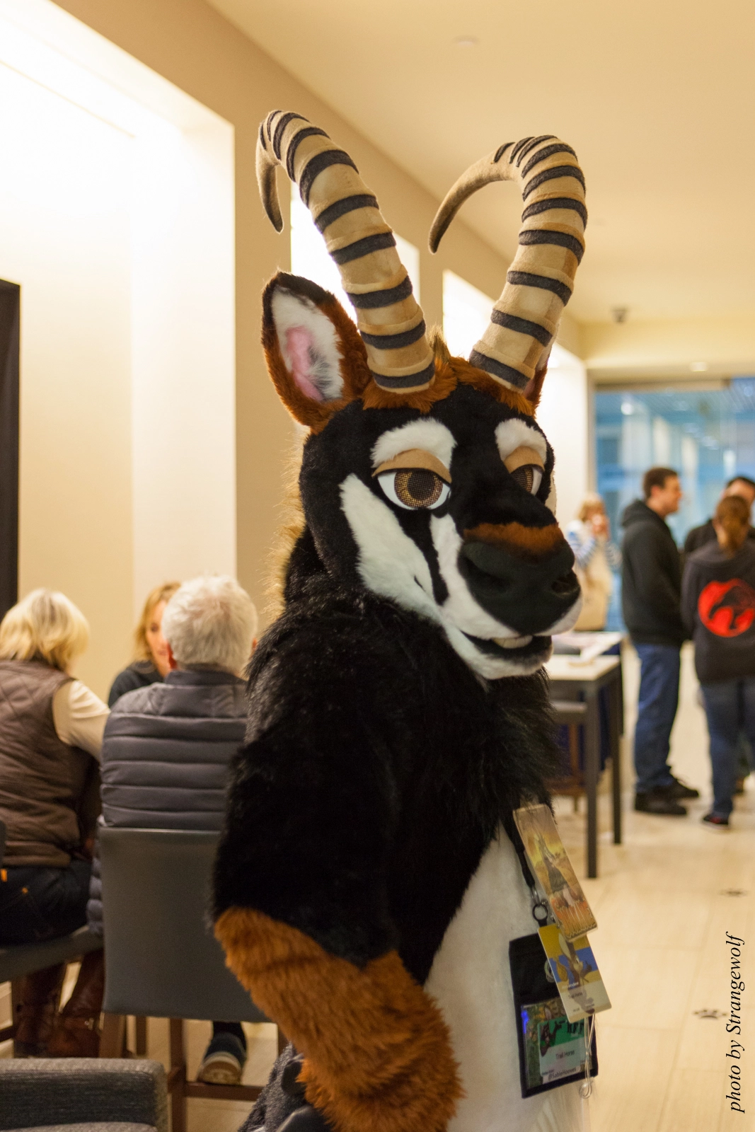 full image IMG_1279-lr16t.jpg