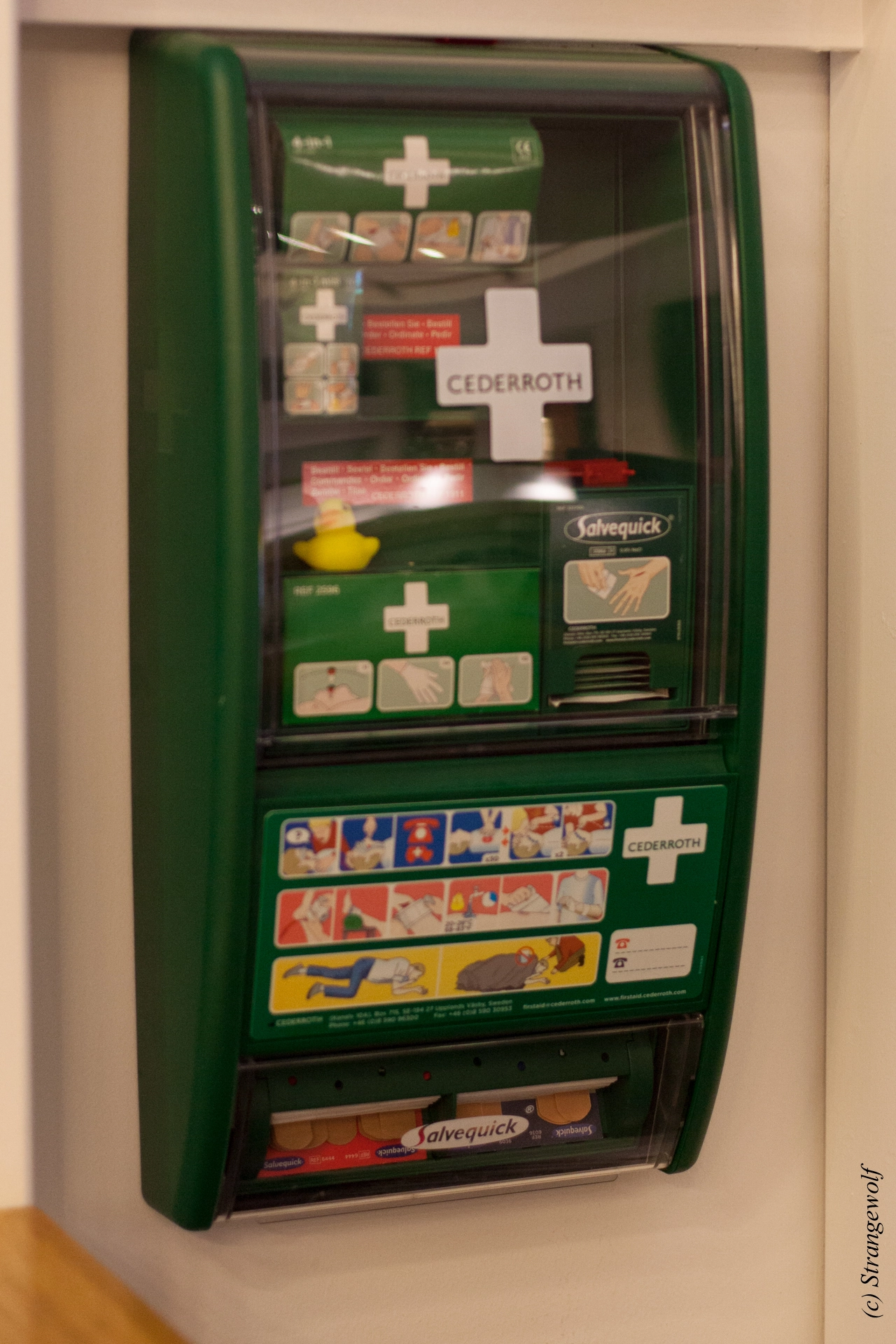 full image IMG_9621-lr19t.jpg