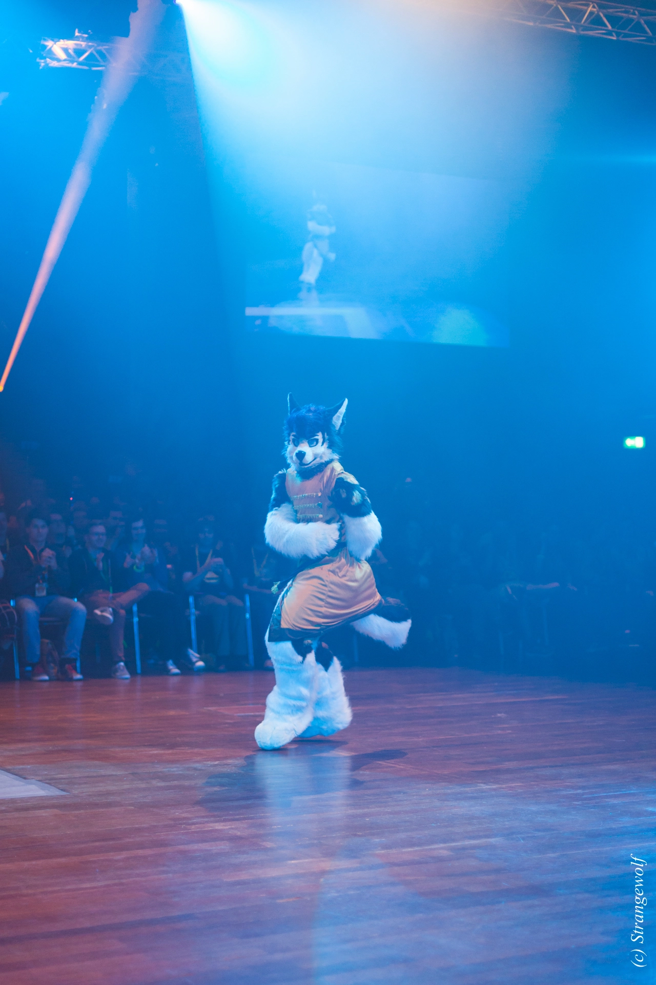 full image IMG_6443-lr19t.jpg