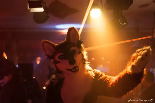 IMG_5412-lr16t.jpg of Laercon/