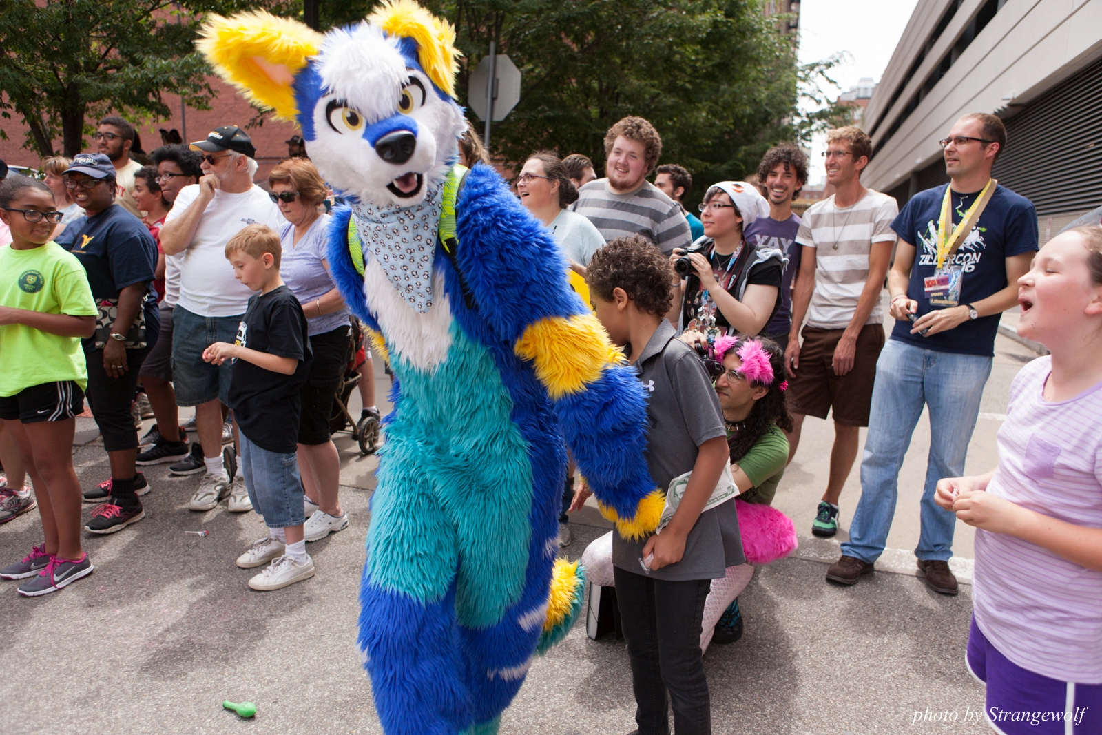 full image IMG_8077-lr16t.jpg