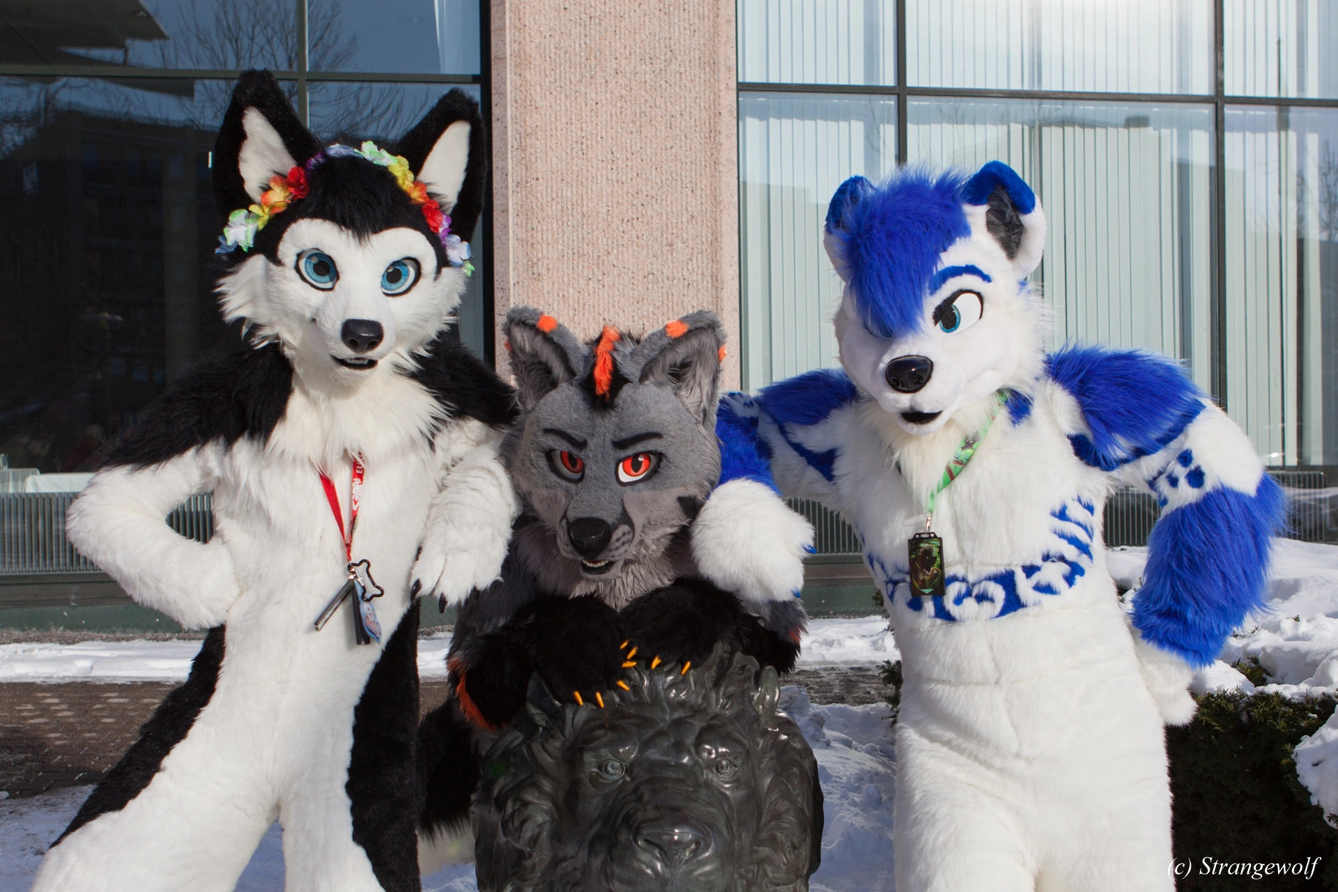 full image IMG_9676-lr19t.jpg