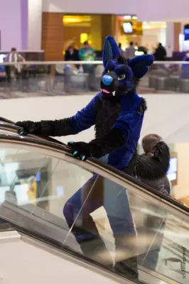 IMG_2005-lr19t.jpg of FWA/FWA2018/