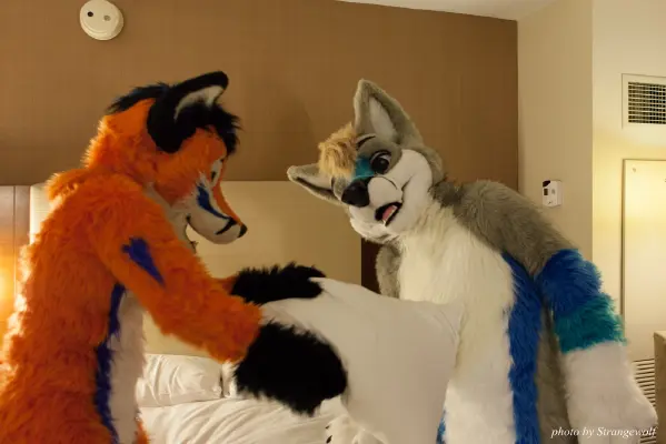 IMG_4181-lr16t.jpg of MFF/MFF2015/