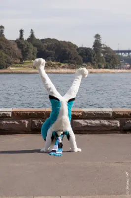 IMG_4382-lr19t.jpg of HCFC/HCFC2019/