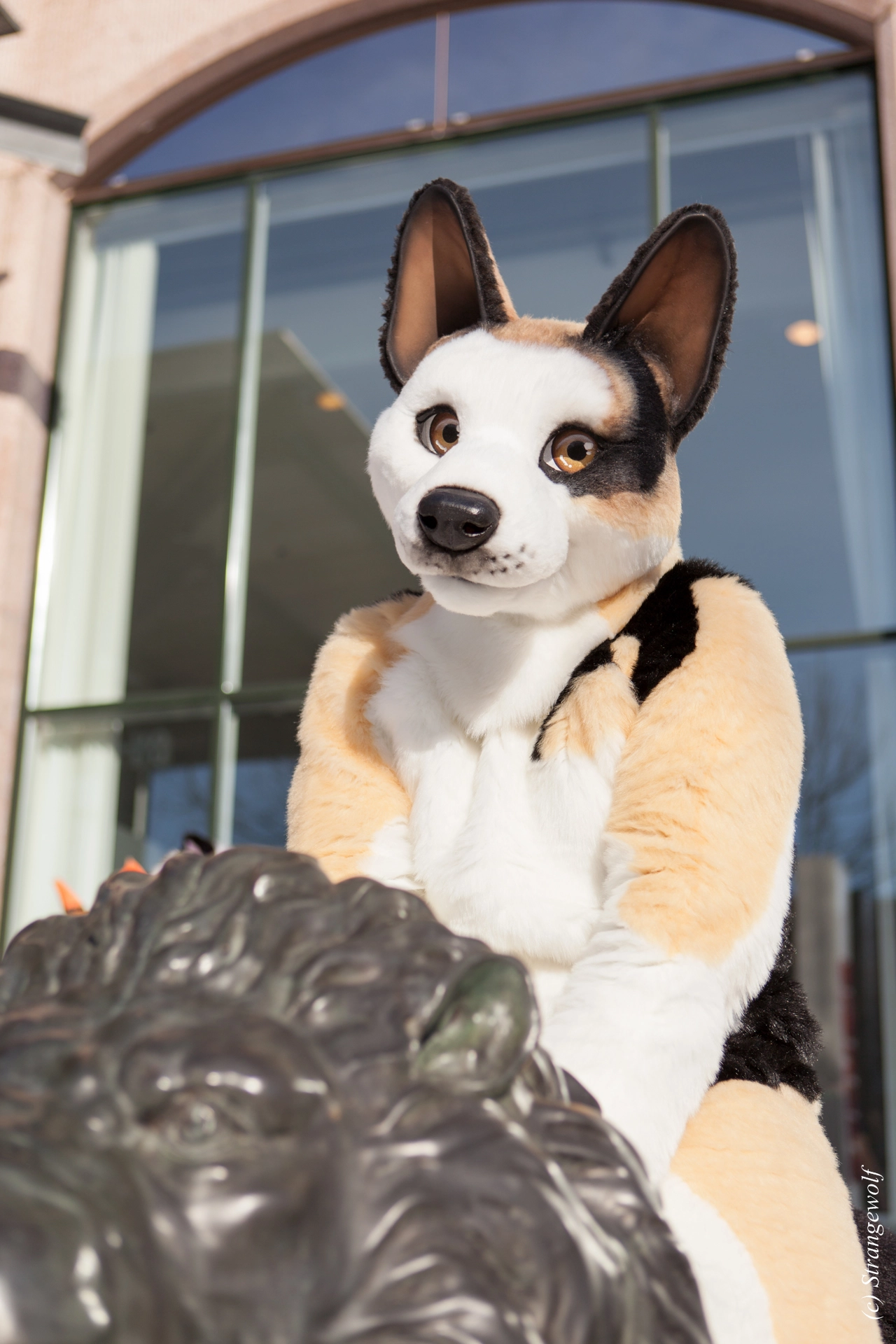 full image IMG_9563-lr19t.jpg