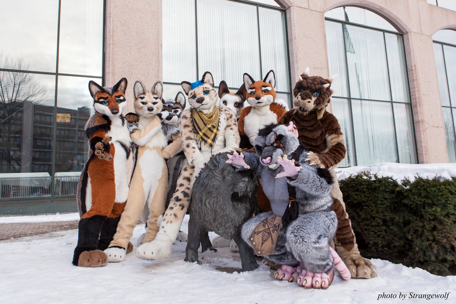 full image IMG_0309-lr19t.jpg