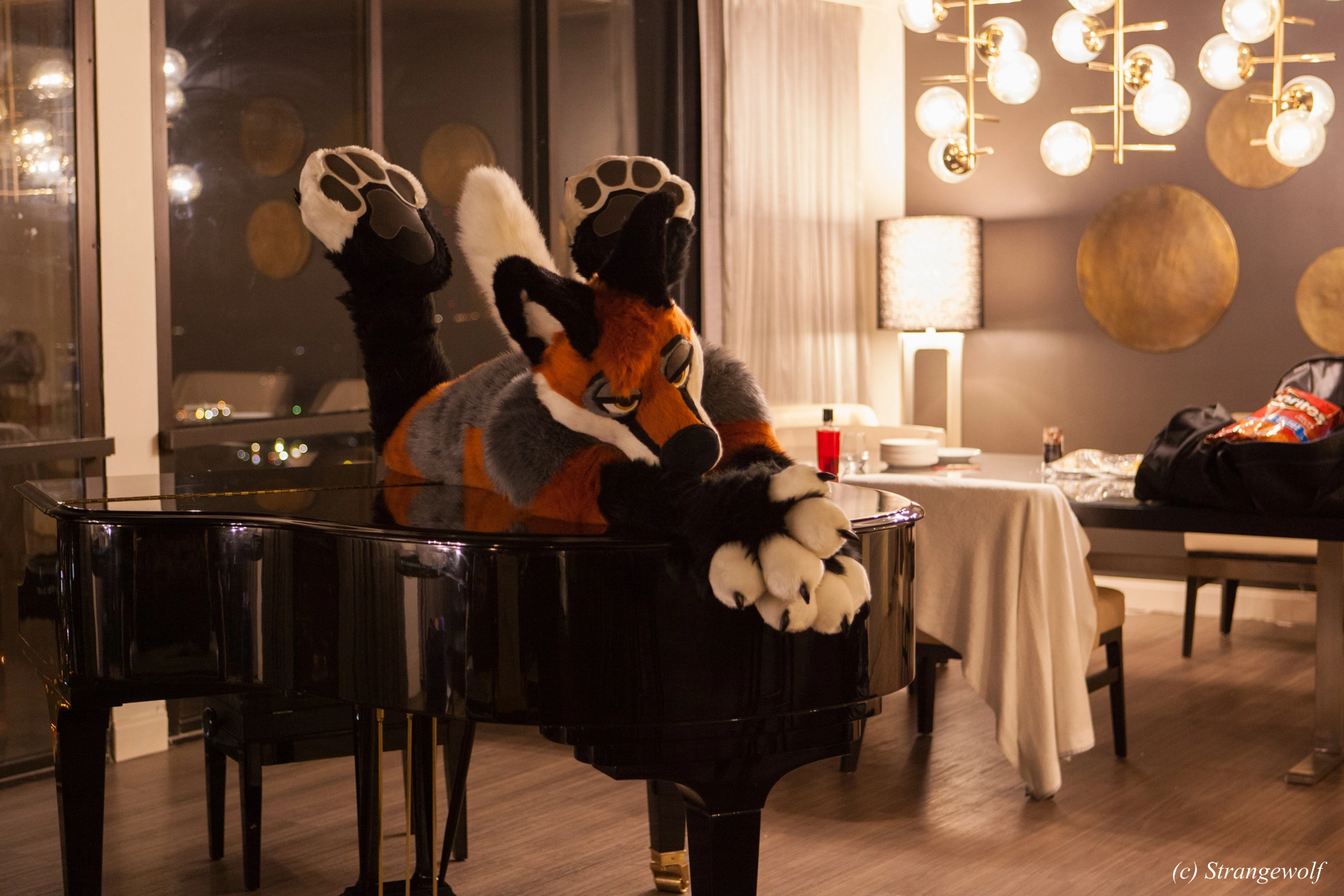 full image IMG_2216-lr19t.jpg