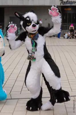 1R3A9178-lr19t.jpg of EF/EF29/