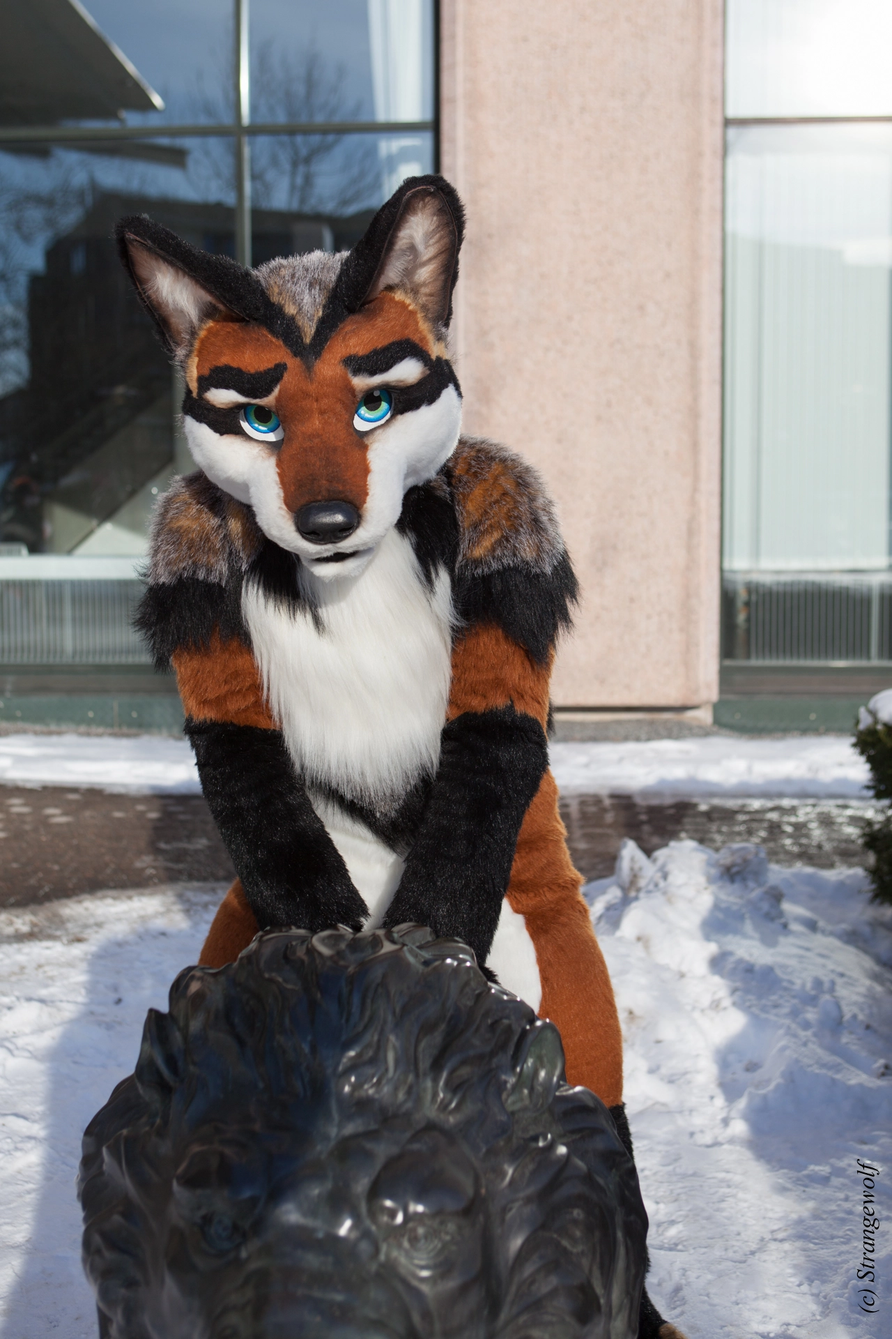 full image IMG_0058-lr19t.jpg