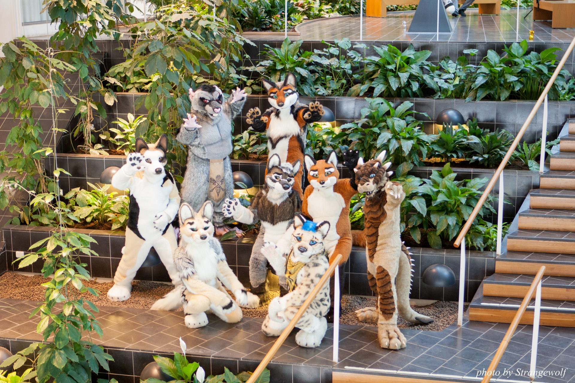 full image IMG_0431-lr19t.jpg