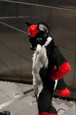 IMG_4529-lr19t.jpg of HCFC/HCFC2019/