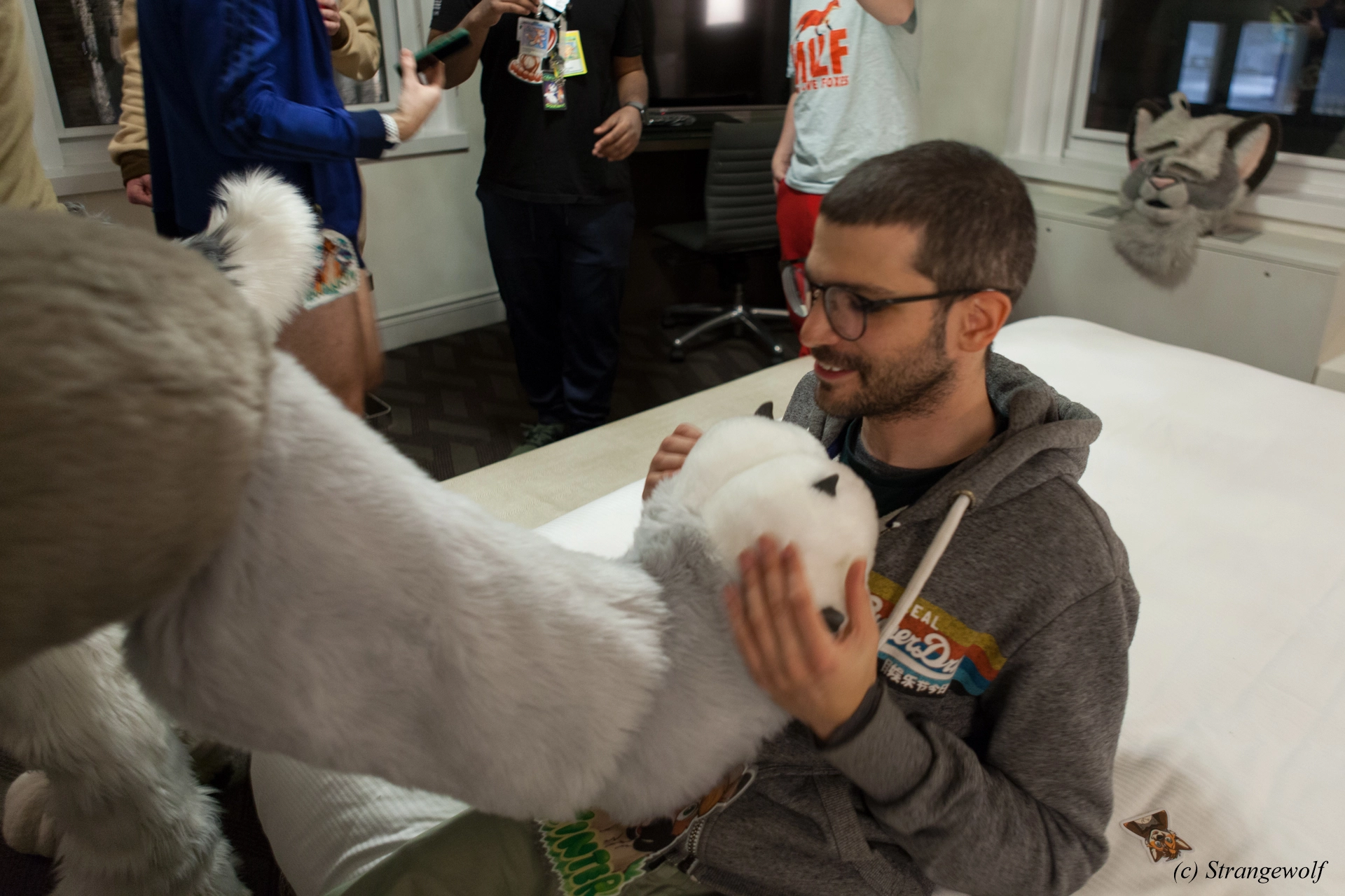 full image IMG_3336-lr19t.jpg
