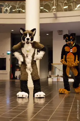 IMG_1954-lr16t.jpg of NFC/NFC2017/