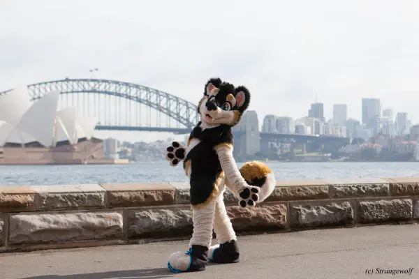 IMG_4361-lr19t.jpg of HCFC/HCFC2019/