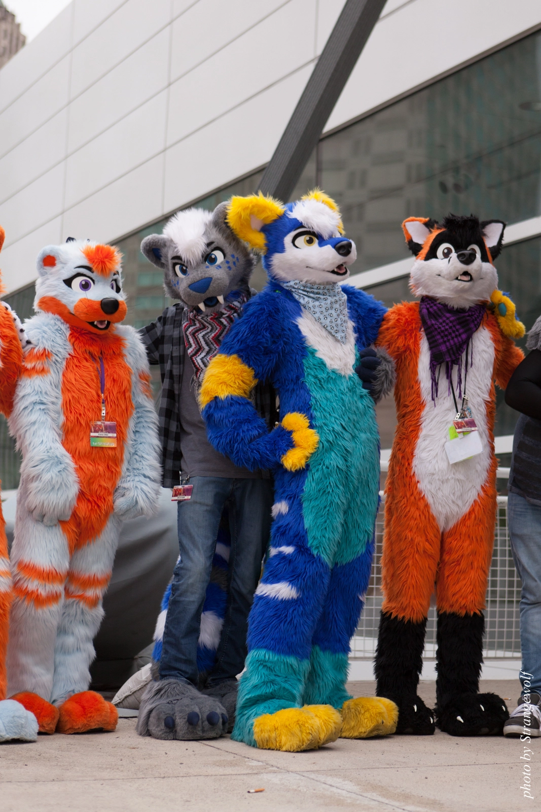 full image IMG_8188-lr16t.jpg
