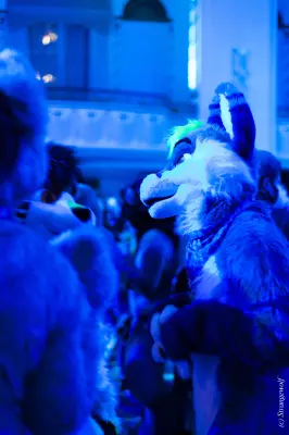 IMG_3009-lr19t.jpg of ANE/ANE2022/