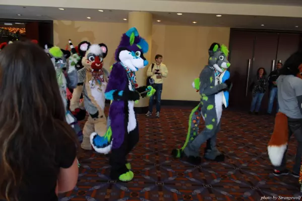 IMG_0559-lr.jpg of MFF/MFF2013/