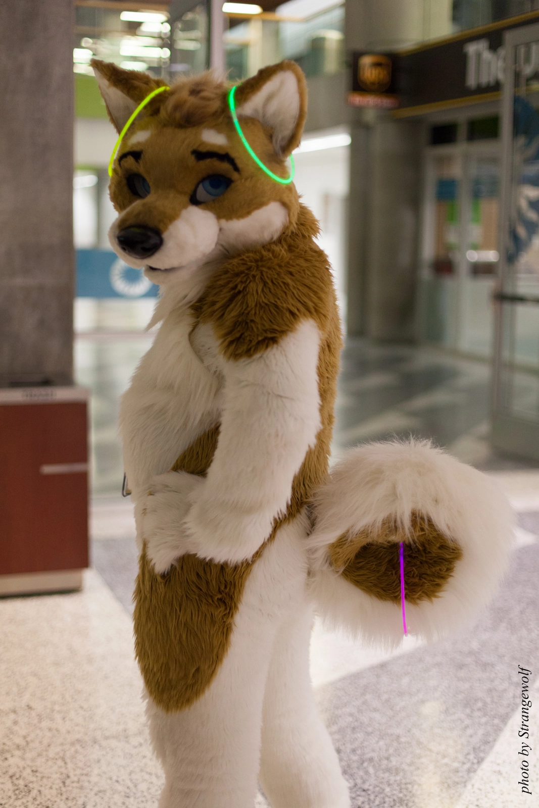 full image IMG_1373-lr16t.jpg