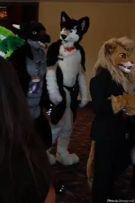 IMG_0560-lr.jpg of MFF/MFF2013/