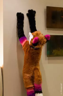 IMG_8025-lr19t.jpg of MFF/MFF2018/