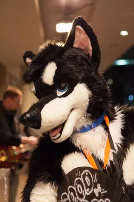 IMG_6899-lr19t.jpg of MFF/MFF2018/