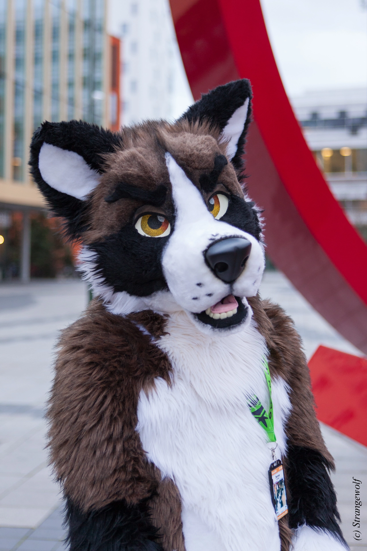 full image IMG_8585-lr19t.jpg