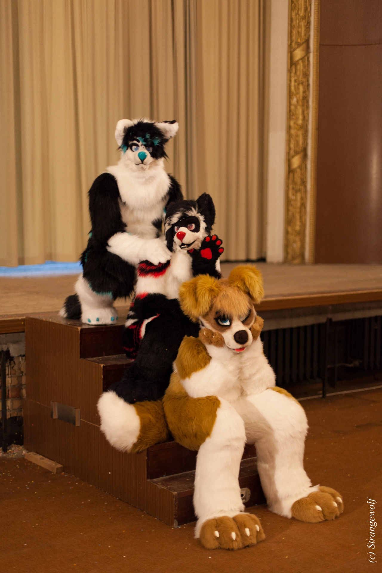 full image IMG_5849-lr19t.jpg