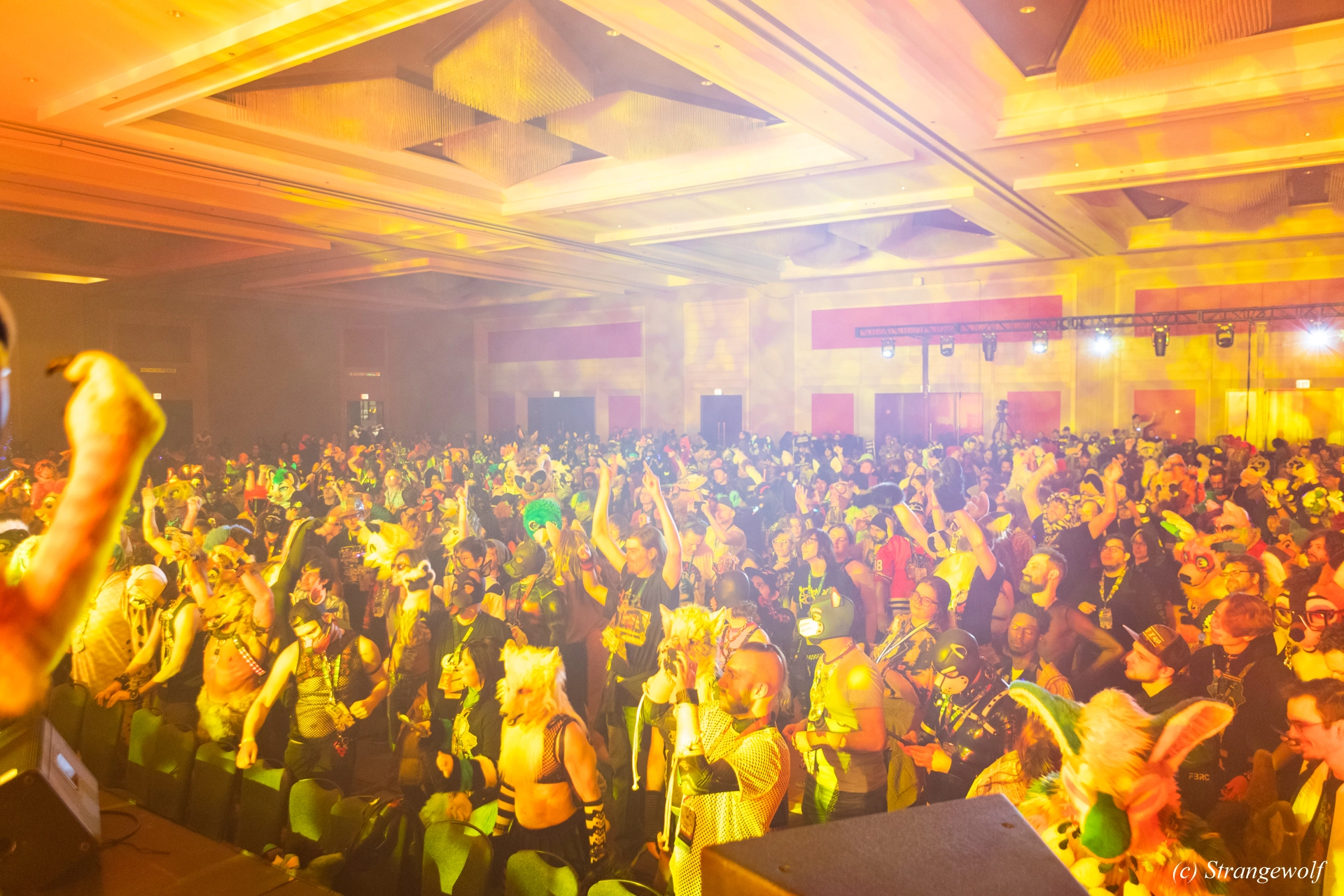 full image 1R3A4837-lr19t.jpg