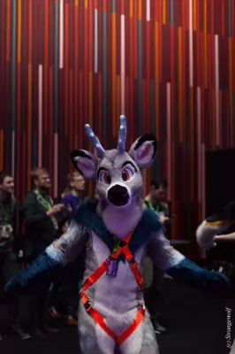 IMG_9196-lr19t.jpg of NFC/NFC2020/