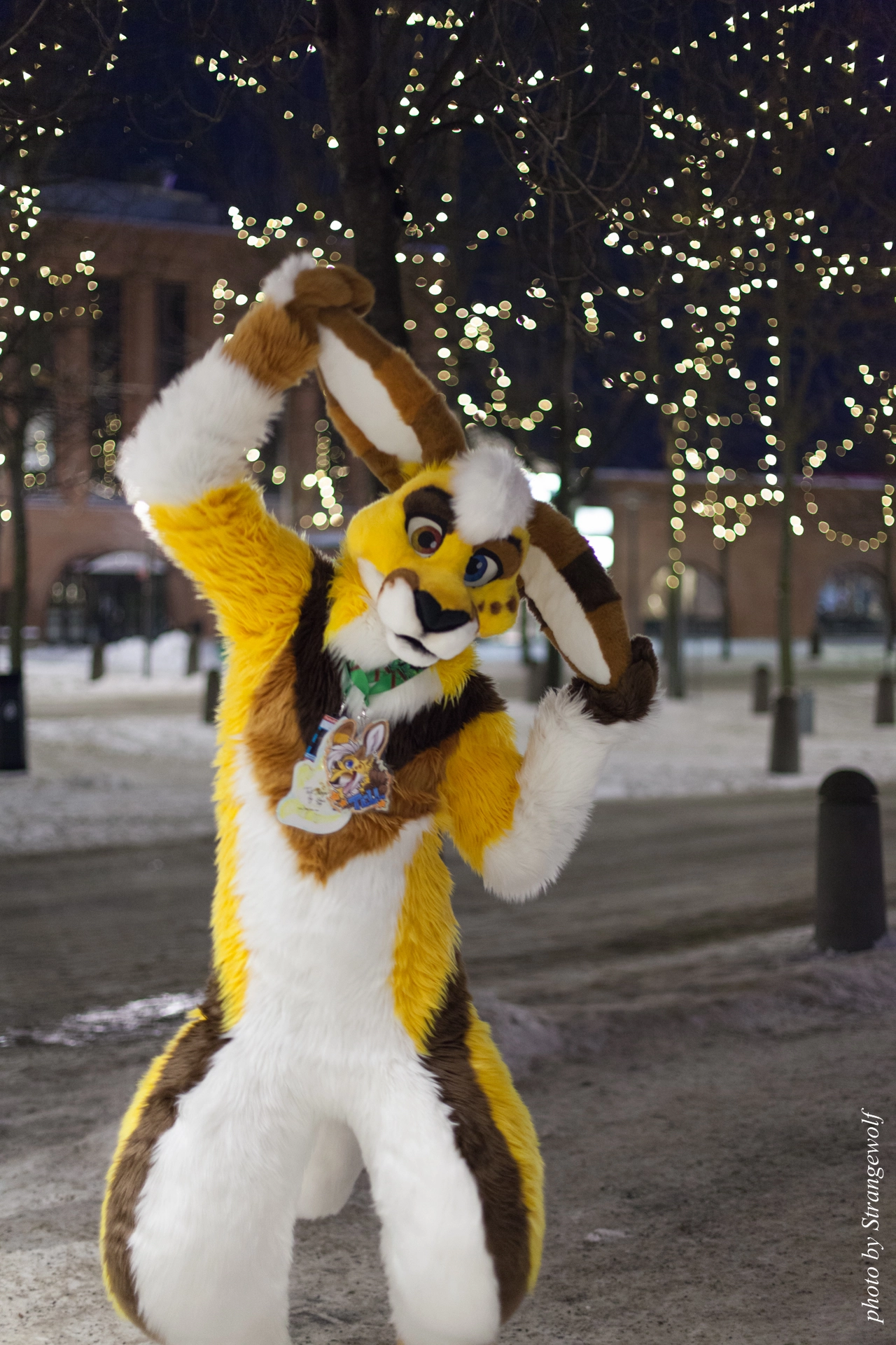 full image IMG_9379-lr19t.jpg