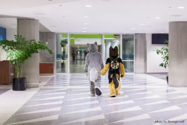 IMG_1258-lr16t.jpg of FC/FC2017/