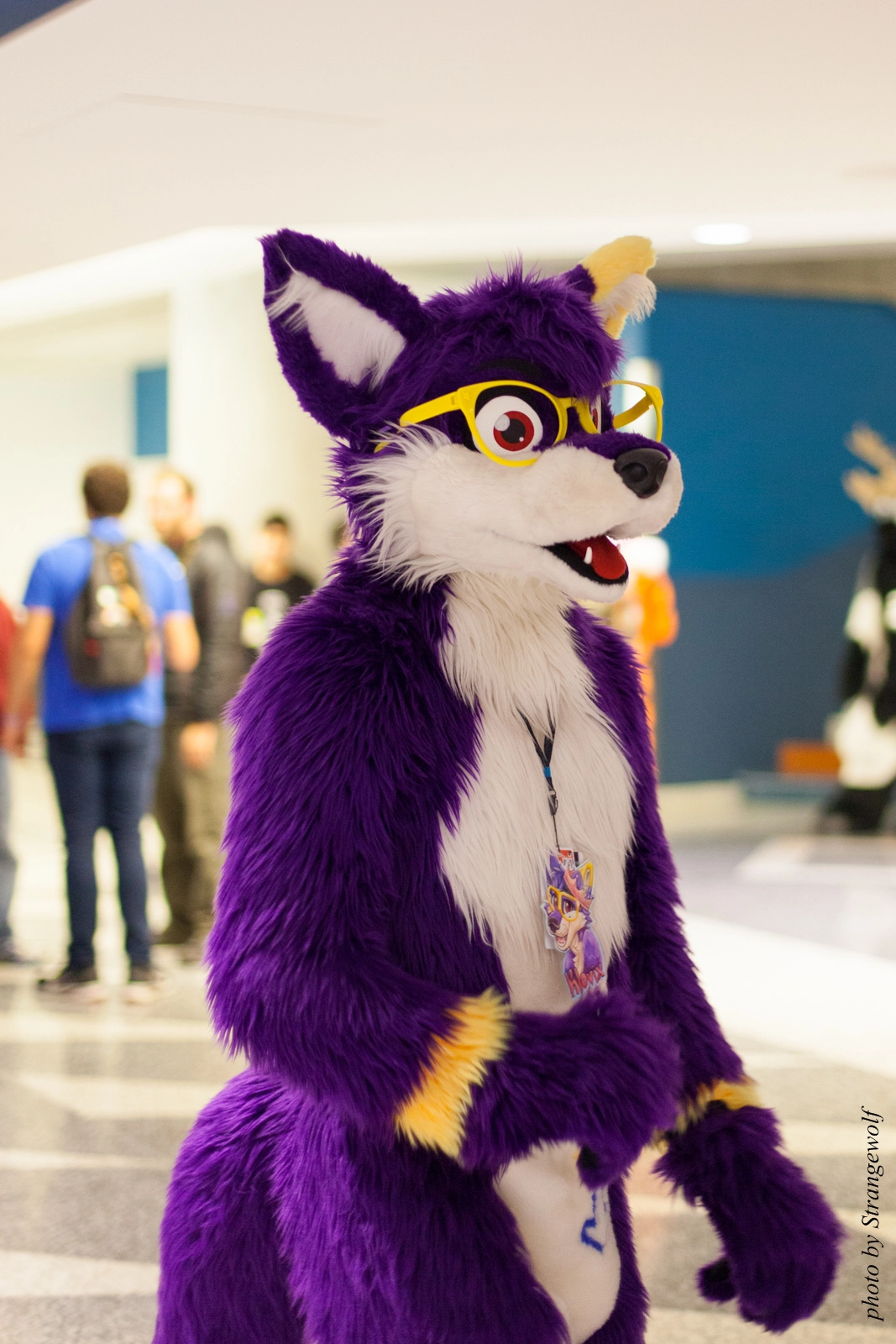 full image IMG_1251-lr16t.jpg