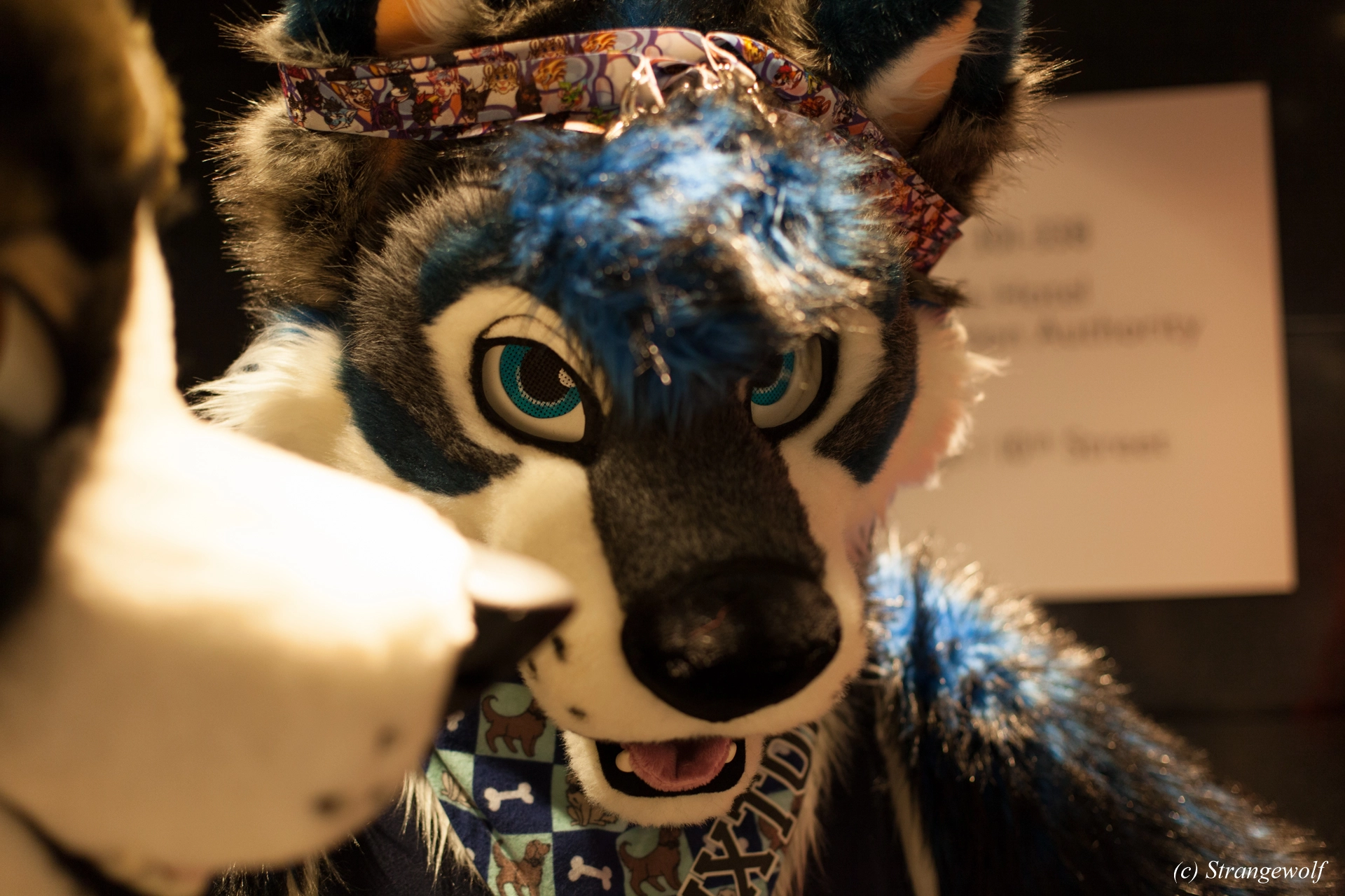 full image IMG_4060-lr19t.jpg