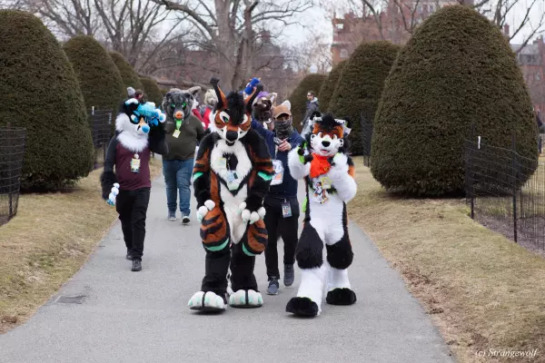 IMG_3204-lr19t.jpg of ANE/ANE2022/Suitwalk/