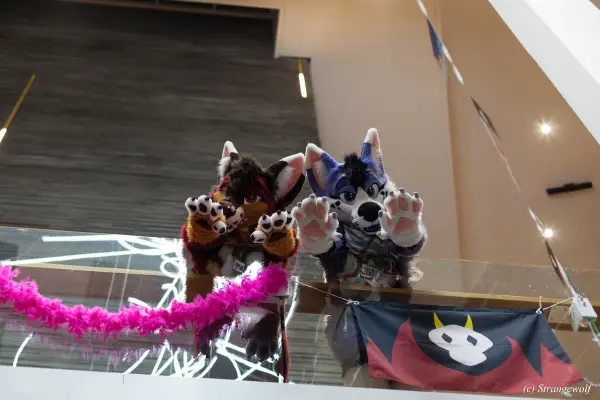 IMG_9193-lr19t.jpg of NFC/NFC2020/