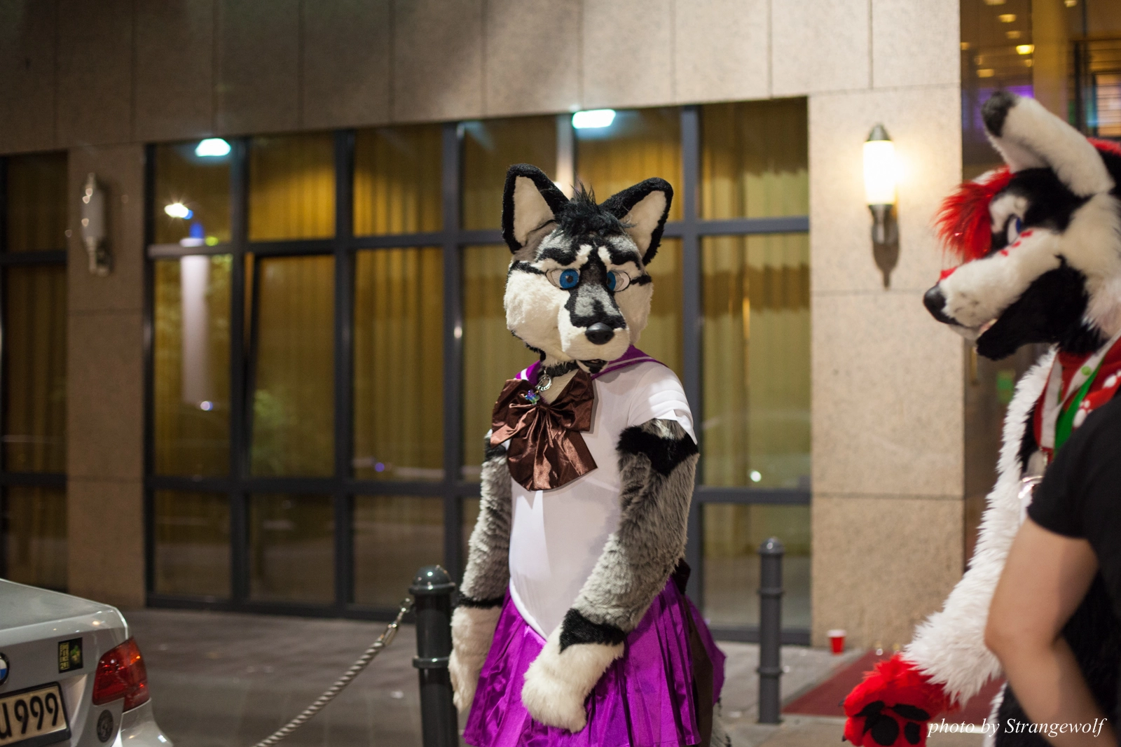 full image IMG_2001-lr16t.jpg