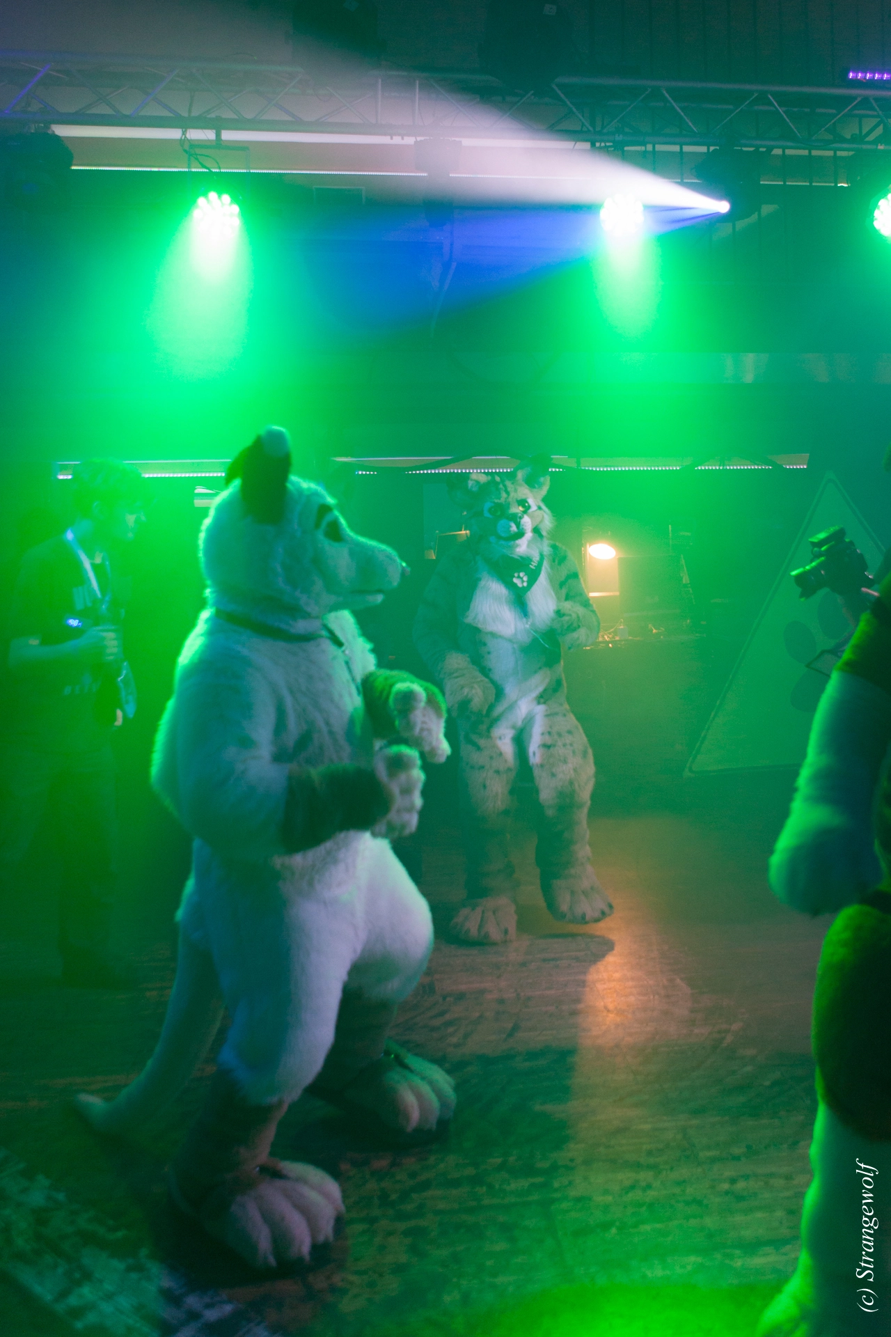 full image IMG_0746-lr19t.jpg