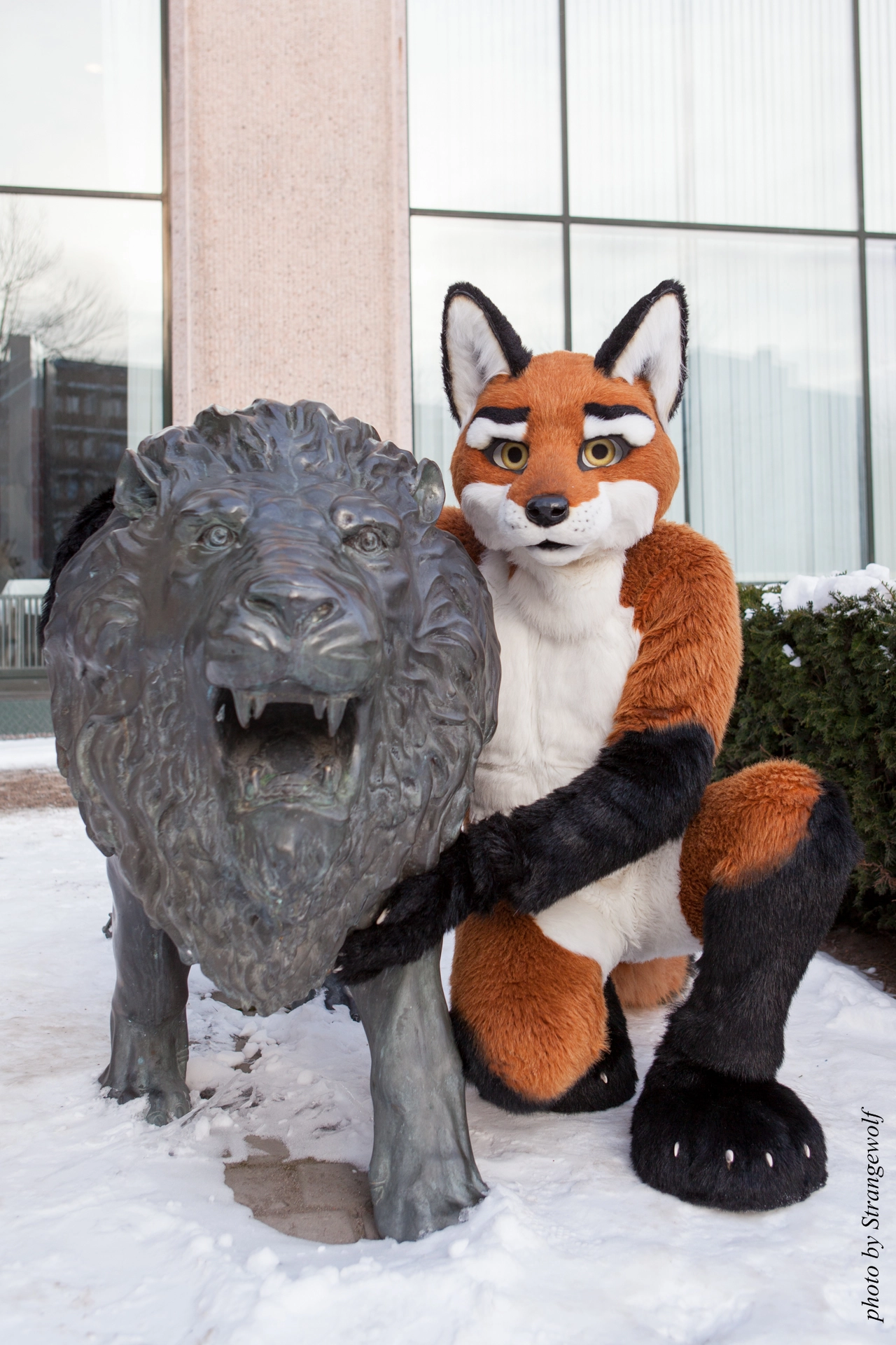 full image IMG_0351-lr19t.jpg