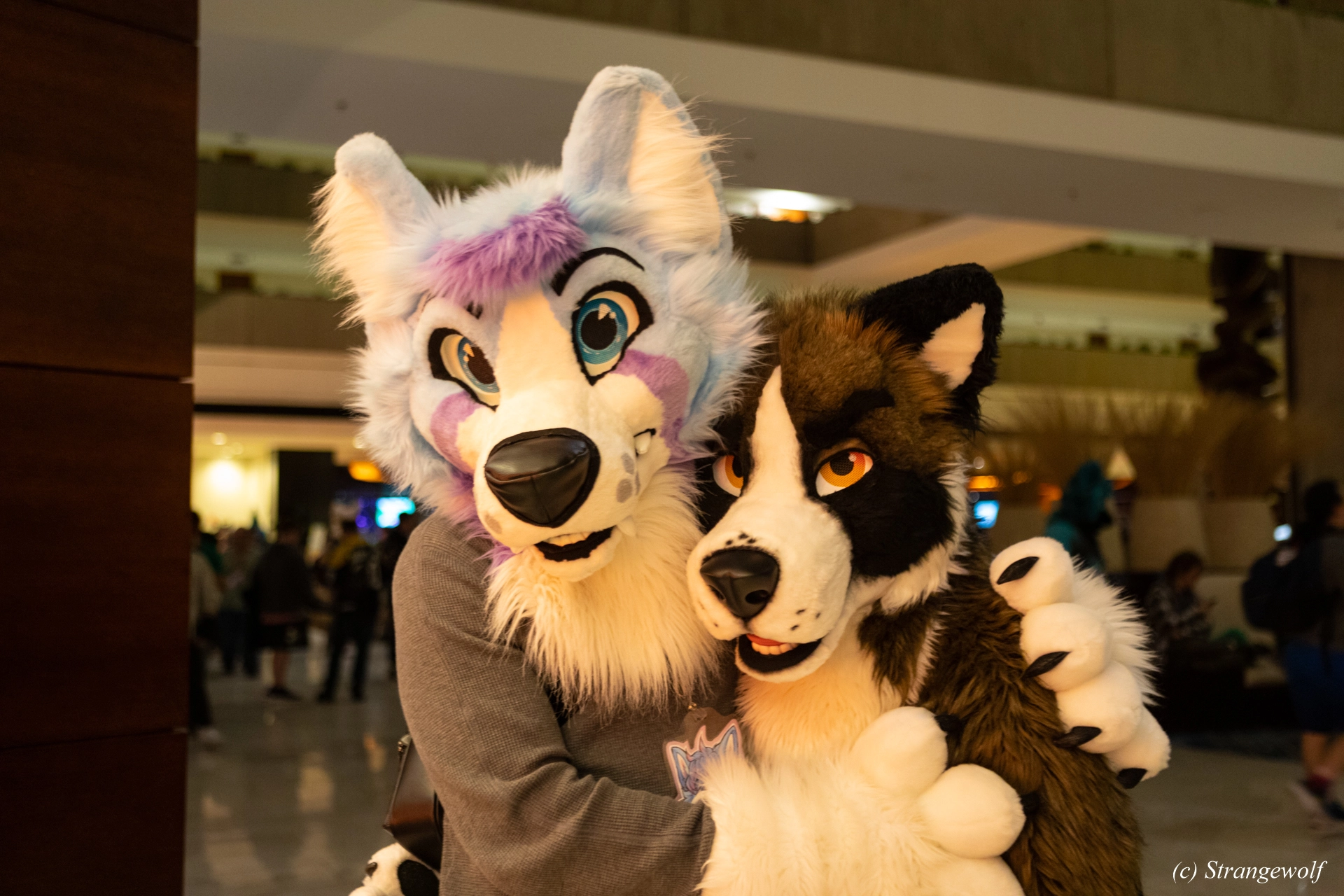 full image 1R3A0282-lr19t.jpg