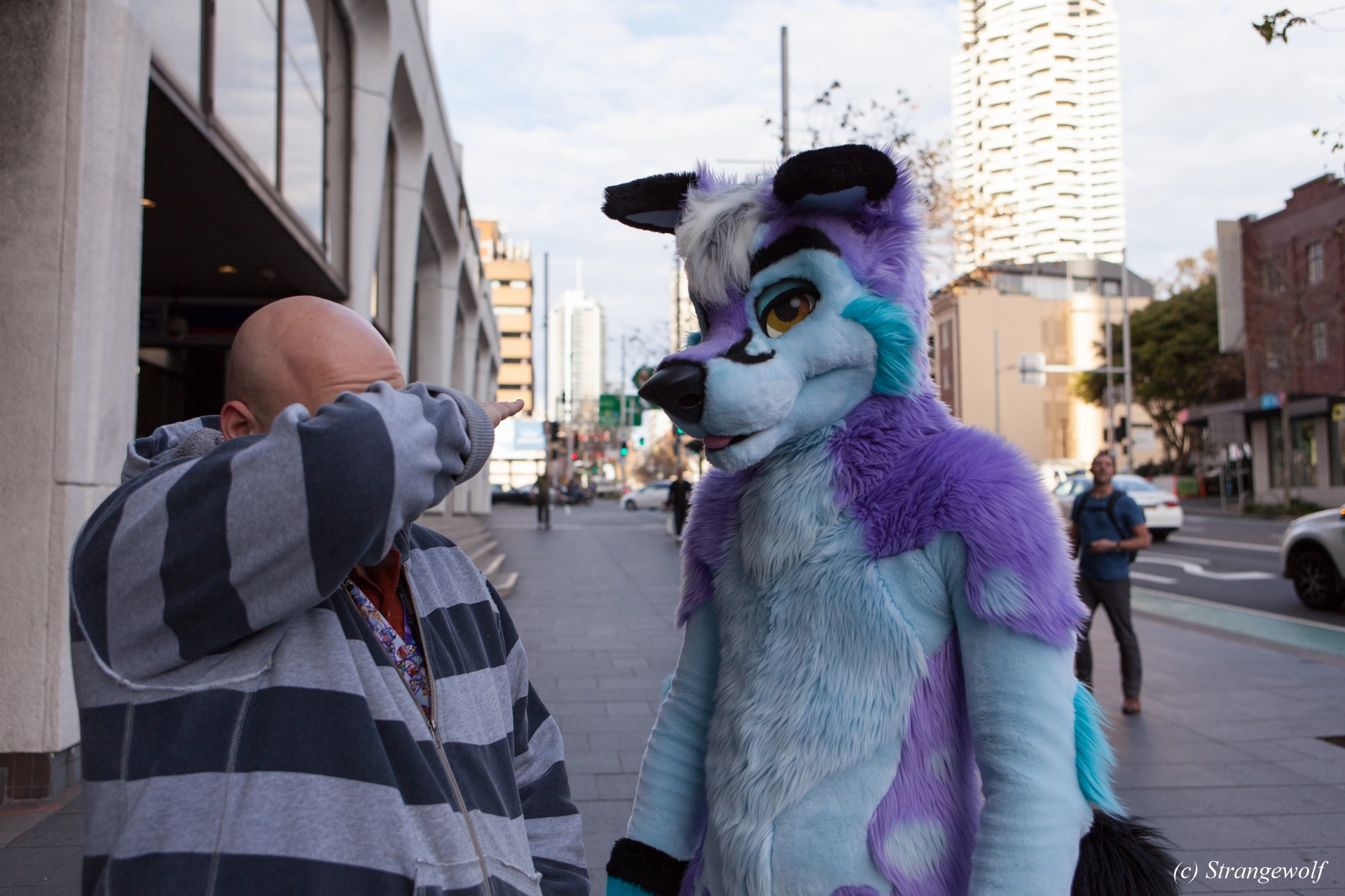 full image IMG_4552-lr19t.jpg