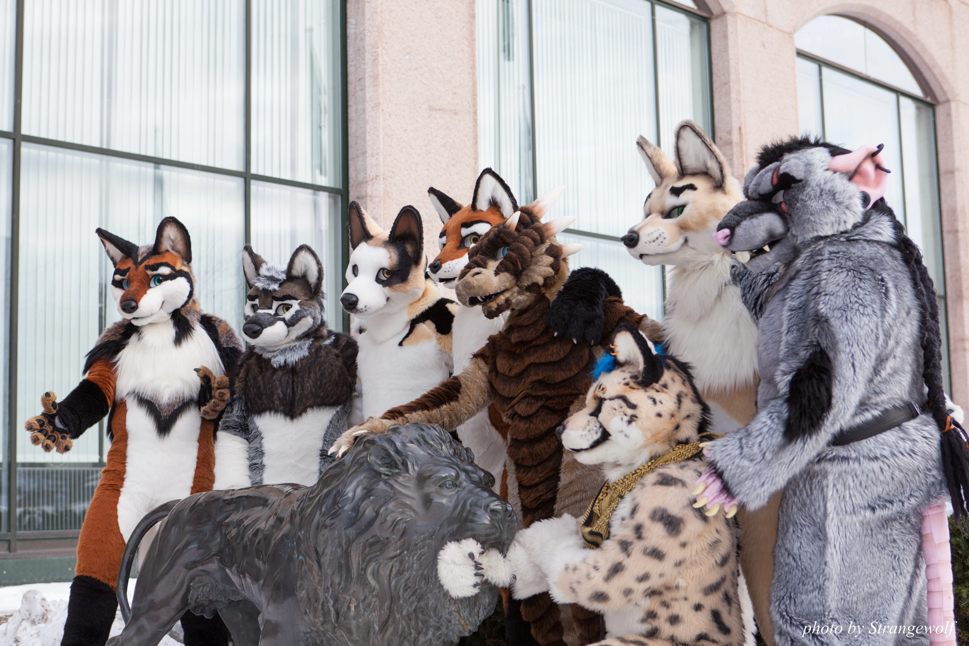 full image IMG_0277-lr19t.jpg