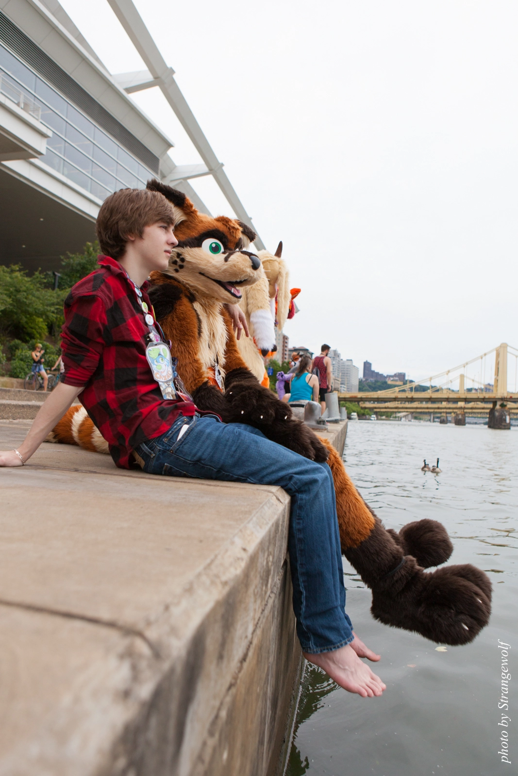 full image IMG_8334-lr16t.jpg