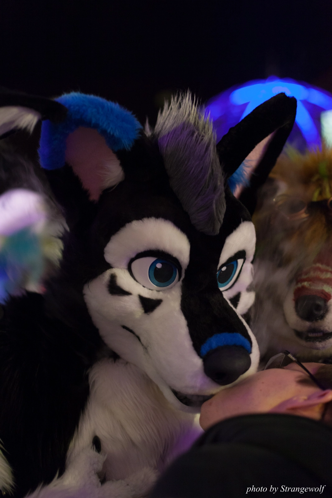 full image IMG_5452-lr16t.jpg