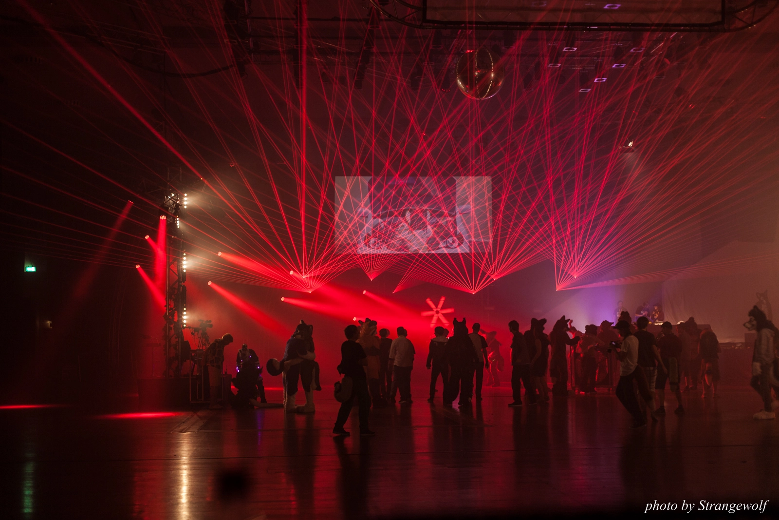 full image IMG_3035-lr16t.jpg
